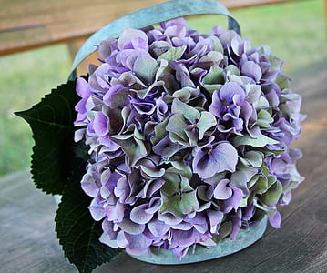 purple-and-green Hydrangea flowers bouquet close up photo thumbnail