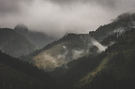 lush land formation photo during foggy day thumbnail
