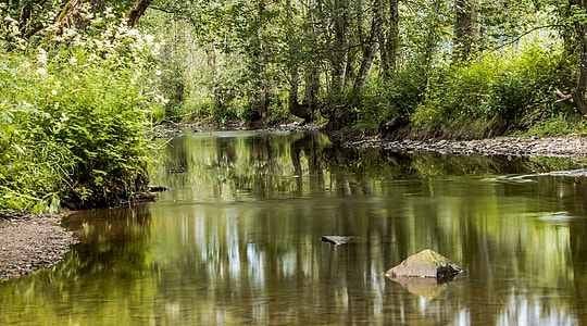green forest and body of water thumbnail