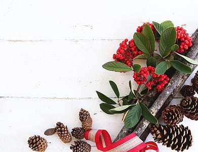 brown pine cone and red berries on top of white surface thumbnail
