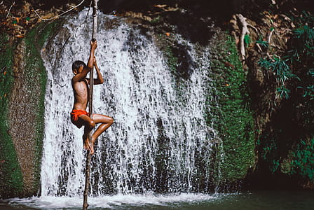 Boy Climbing Stick Beside Waterwalls thumbnail
