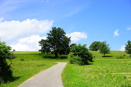 empty gray road near grass field thumbnail