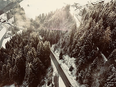 grayscale photography of mountain trail during day thumbnail