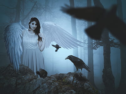 angel with crow on rock wallpaper thumbnail