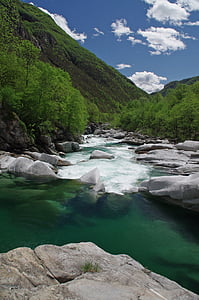 river near the forest photography thumbnail