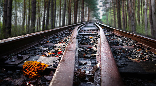train railway photograph thumbnail