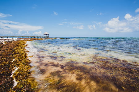 time-lapse photography of sea beside dock way with gazebo thumbnail