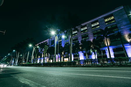 Green Palm Trees on Side Walk Near Gray Building at Nighttime thumbnail