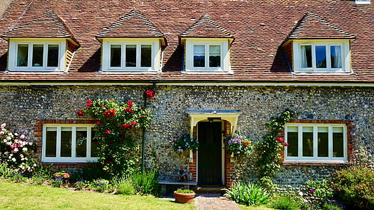 flowers, bricks, garden, house thumbnail