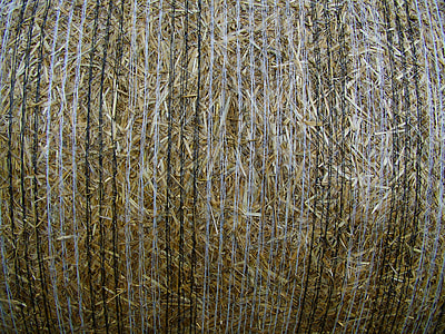 Straw Bale, Compressed Grain Drying thumbnail