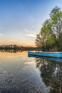 Blue Canoe on Water Beside Trees thumbnail