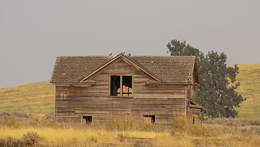 brown wooden house in the middle on green grass lawn thumbnail