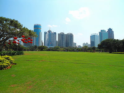green grass field thumbnail