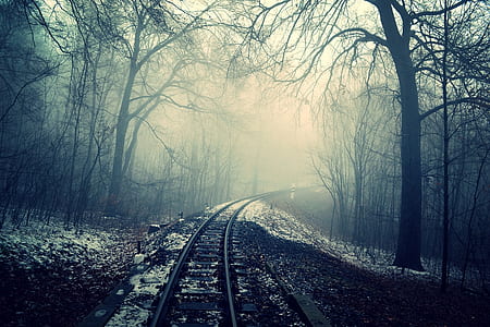 Scary railway in the forest thumbnail