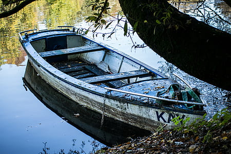 docked white canoe thumbnail