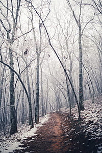 snowy road thumbnail