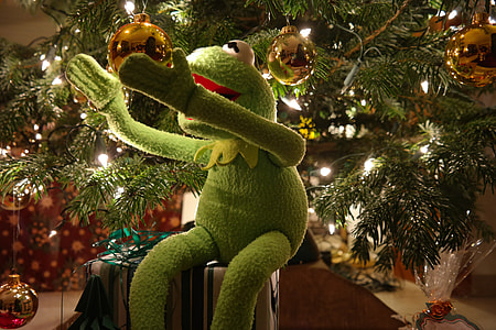Kermit the frog plush toy beside christmas tree thumbnail
