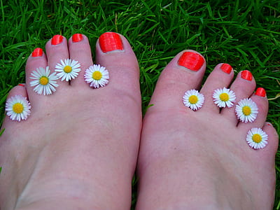 eight white chamomile flowers in between human toes with red pedicure thumbnail