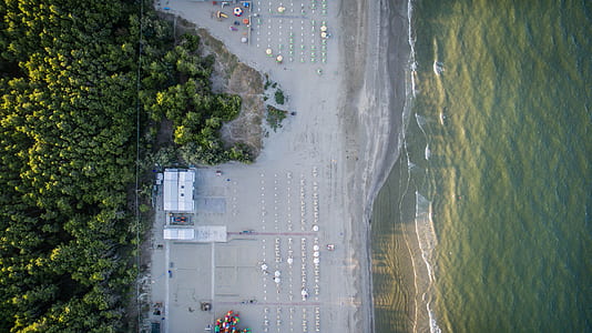 birds eye view of road between body of water and trees thumbnail