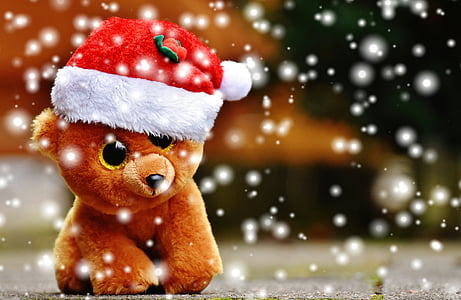bear plush toy with santa hat thumbnail
