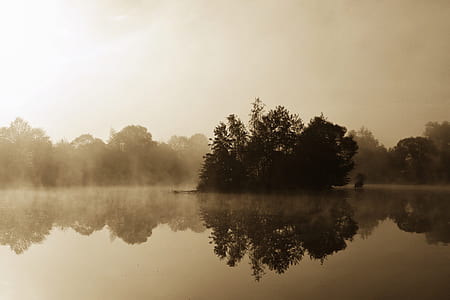 tree on body of water thumbnail