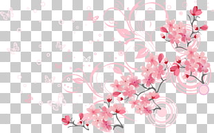 Cherry blossom Euclidean , Beautiful cherry blossoms, pink flowers and butterfly PNG clipart