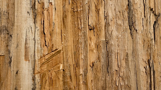 brown wooden board thumbnail