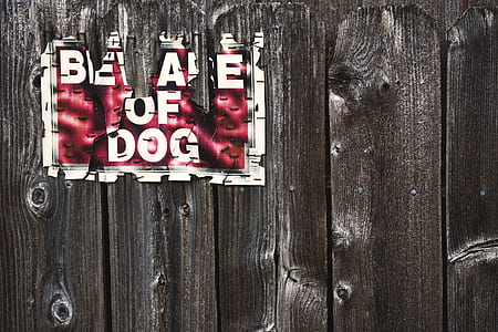 Beware of dog signage on fence thumbnail