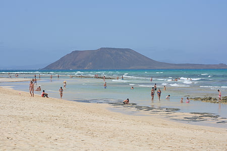 people on beach during daytime thumbnail