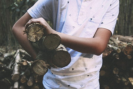 person carrying brown logs thumbnail