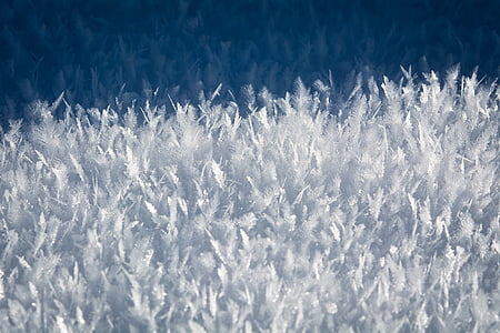 ice, eiskristalle, frozen, winter thumbnail