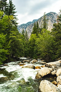 body of water in between green leafed trees thumbnail