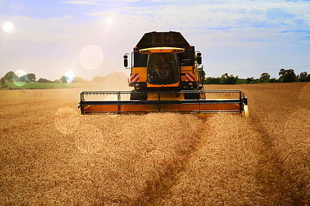 yellow and black harvester harvesting crops on field thumbnail