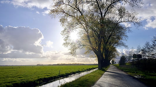 road, landscape, nature, sky thumbnail