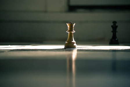 shallow focus photography of brown chest piece thumbnail