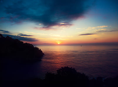 silhouette of trees during dawn thumbnail