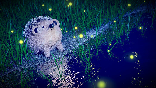 beige hedgehog standing near body of water thumbnail