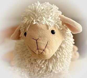 white sheep plush toy thumbnail