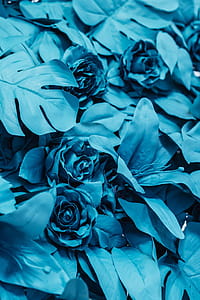 Painted Fake Flowers thumbnail
