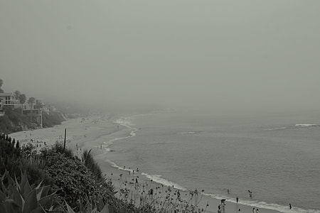 graysca;e photo of a shore thumbnail
