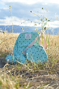 teal backpack and crossbody on grass field thumbnail