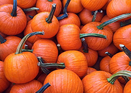 orange pumpkin lotr thumbnail