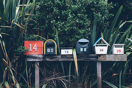 assorted-color mailboxes beside green leaf plants thumbnail