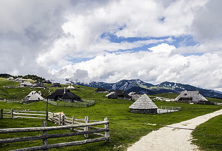 gray houses on green grass field under blue sky thumbnail