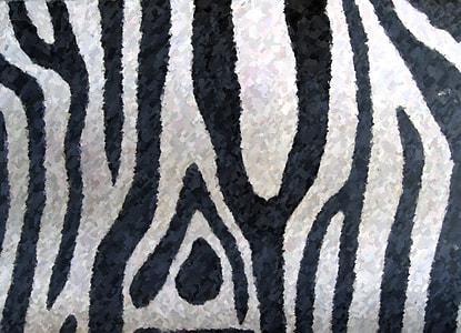 black and white zebra skin print textile thumbnail