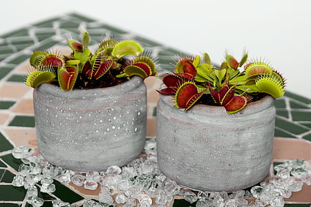 two gray gardening pots thumbnail