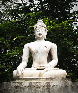 Gautama Buddha statue near trees thumbnail