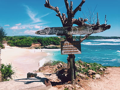 beach signage hanging on tree thumbnail