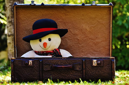 selective focus photo of snowman inside box thumbnail