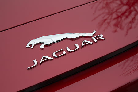 silver Jaguar emblem thumbnail